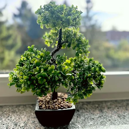 Vaz Essen, Kueche, Wlan, Tv, Netflix, Ca 15 Min Messe U Hbf Apartment